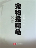 我的宠物是猫 我很喜欢它英语怎么说