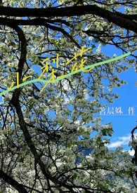 小梨花簪教程