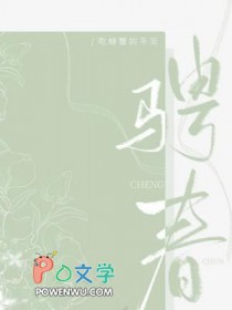 骋望天玺国际中心