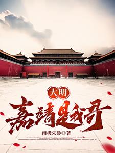 大明嘉靖青花梅瓶