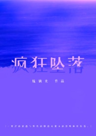 坠落疯狂小说